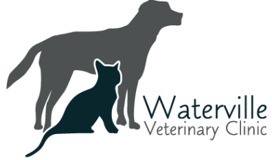 Waterville Veterinary Clinic-HeaderLogo